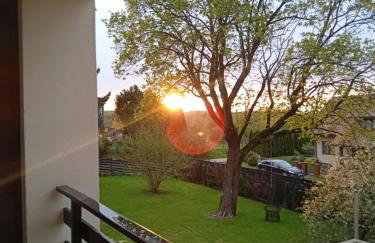 Pokoje gościnne Słoneczny Klon Dąbrówno - Foto 53