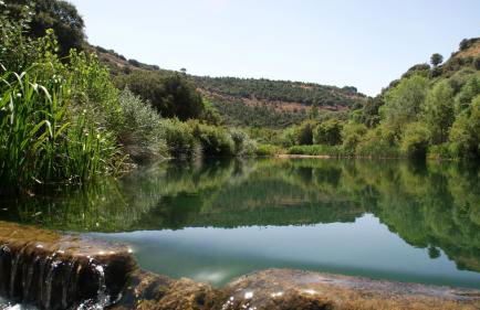 Casas Rurales Cortijo Bellavista - Foto 12
