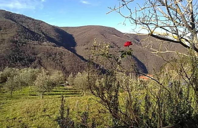 Agriturismo Poggio di Montepescoli - Il Ciliegio - Foto 42