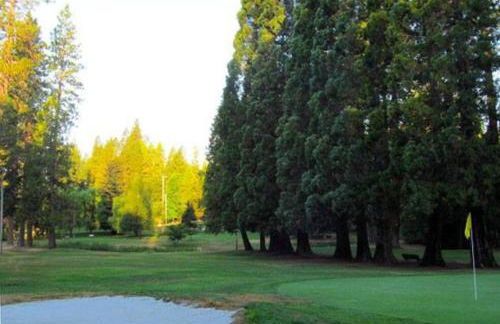 Twain Harte Lake, pool/hot tub, by skiing/Yosemite - Foto 6