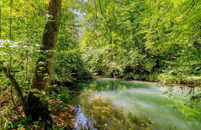 Riverside Suite Jure Private Beach - Foto 24