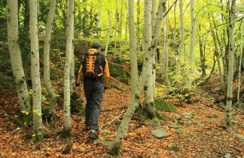 Casa rural El Abejaruco - Foto 68