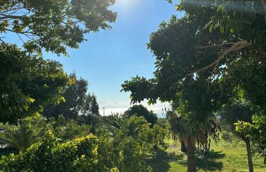 Electra Studios - Foto 23