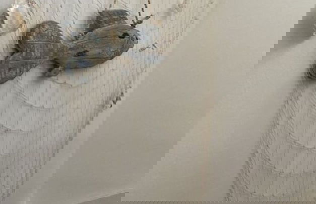 Holiday House Beach Rider - Foto 6