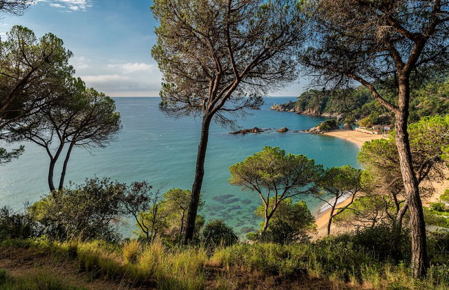 Albamar Apartaments - Foto 22