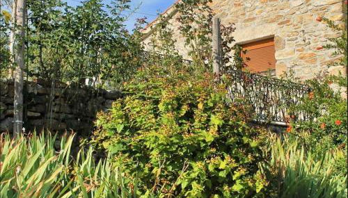 LÍRIOS DA GRANJA - CASA DE CAMPO - Foto 2