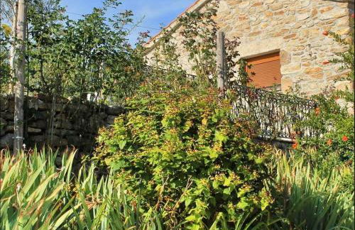 LÍRIOS DA GRANJA - CASA DE CAMPO - Foto 2