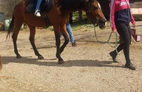 Apartmani Božić-Omišalj - Foto 3