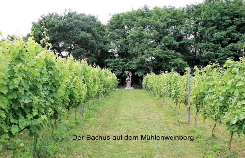 Ferienappartements Am Weinberg - Foto 29