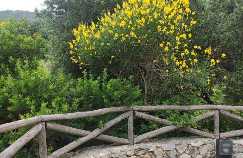 Il giardino sull'isola - Appartamento - Bergeggi - Foto 22