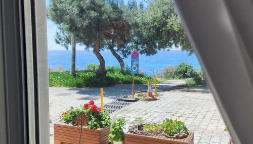 Serene Vintage - Foto 3, Garden, Garden view