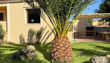 Villa Green Garden - Foto 1, Garden