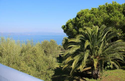 Aspro Spiti 2 - Foto 4