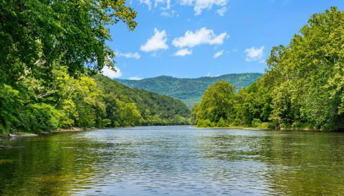 Cute Riverside Cabin w Hot Tub Fire Pit & Kayaks - Photo 4