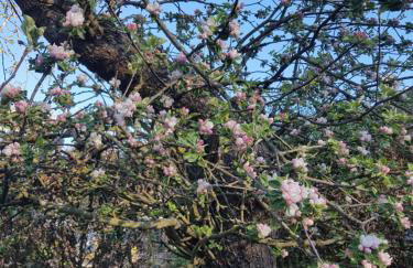 Belka am Rursee - Foto 20