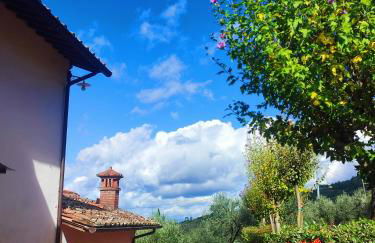 Agriturismo Cafaggio Primo - Foto 11