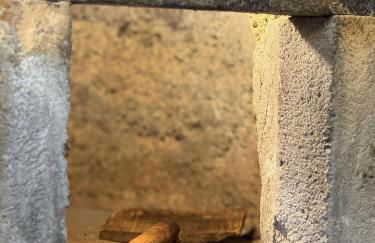 Raízes AL - Photo 16