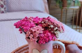 Sitio Lar da Terra - Foto 37