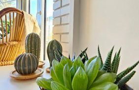 Boho Arenal Bol - Foto 12