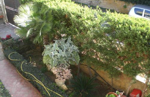 Bouganville - Foto 32