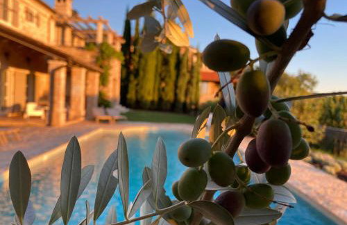 Villa Oliva Istria - Foto 14