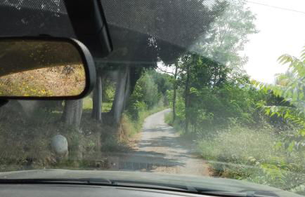 Monolocale in campagna - Photo 37