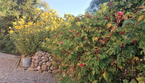 Ferienwohnungen Alter Bahnhof mit Terrasse und Garten OFC 06 - Foto 4