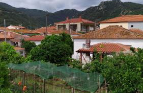 Peter's traditional house - Foto 29