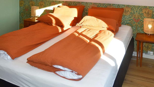 9 Person Holiday Home in Fjortoft - Foto 5, Habitación