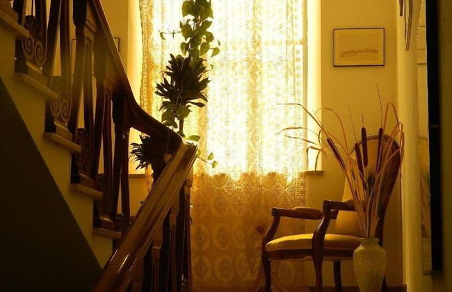 Artisti del Cavallo Tourism - Foto 19