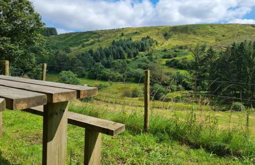 Cottage, Pontsticill, Brecon Beacons - Photo 10