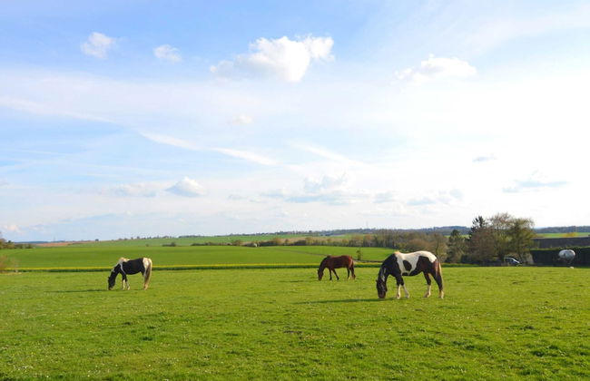 Sunny Cottage With Pool - Foto 36
