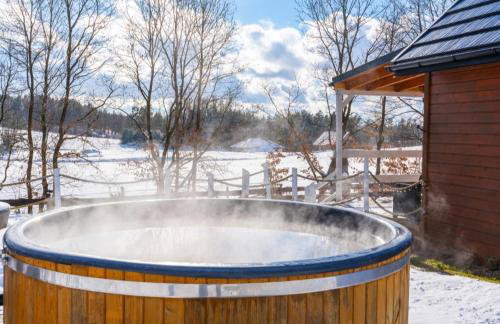 Domek letniskowy na Kaszubach z Balia ogrodowa - Foto 6