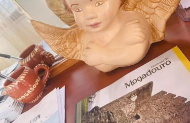 Anjú-Pardal - Foto 48