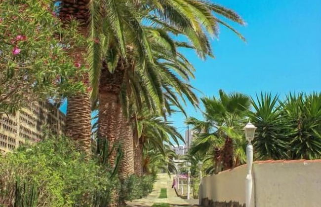 Finca El Castillo - Foto 63