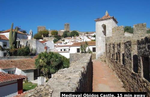 Beachfront Villa with Private Beach Access, Ocean Views, Pool, - Foto 42