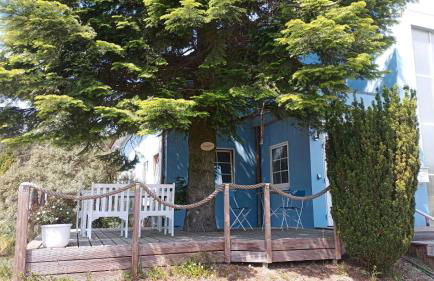 Ferienwohnung Naturparadies Gnitz - Foto 16