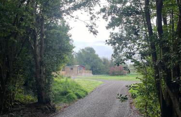 'Cosy Gem' Cabin Woodland Retreat Randalstown NI - Foto 23