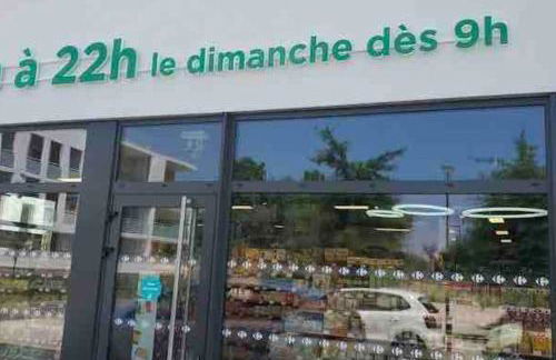 Toulouse vaste appartement très lumineux - Photo 7