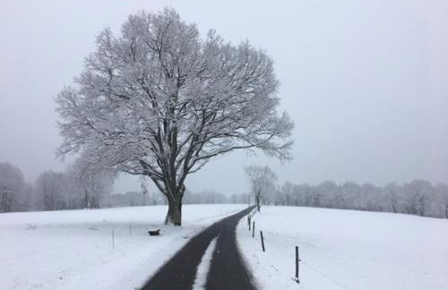 Le Chalet Basque - Foto 13
