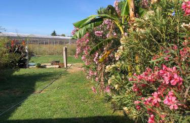Isabelina Stays near Doñana & the Coast - Foto 40