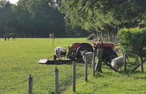 Cosy Coppice Cottage - Foto 14