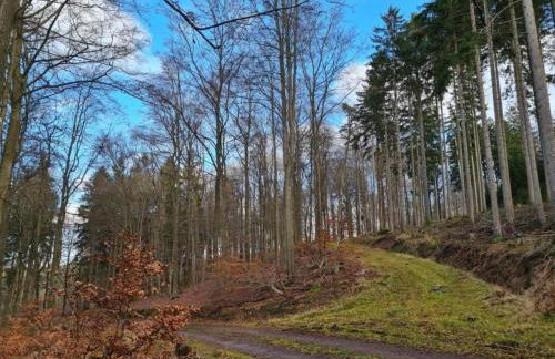 Quaint Bungalow Near Insel Poel With Garden - Foto 60