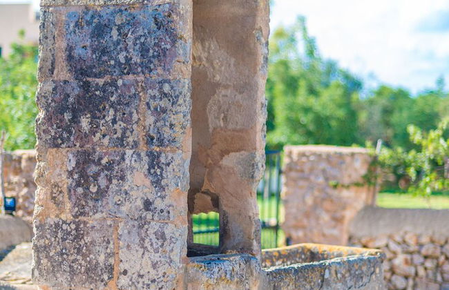 Vista Alegre in Manacor - Photo 36