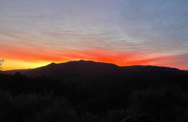 Casa do Outro Mundo - Foto 64