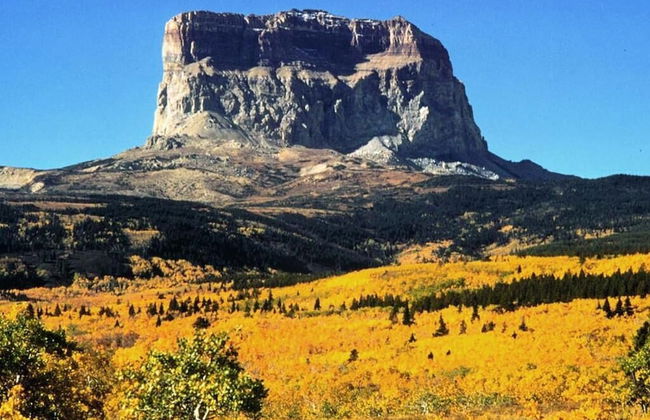 Paradise Park - Photo 4