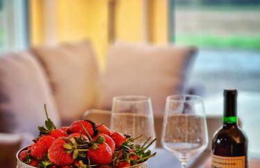 DomkiTomki, Winnica Sindaco - Foto 49