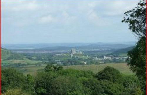 The Old Reading Room - Photo 19
