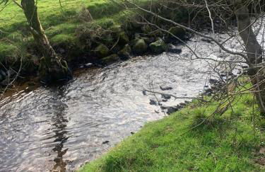 Half Pint Cottage - Foto 25