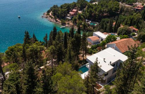 My seagull - Photo 65